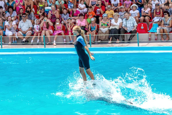 Odessa, Oekraïne - 10 juni 2013: dolfijnen op creatieve entertaini — Stockfoto