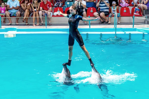 ODESSA, UKRAINE - JUNE 10, 2013: Dolphins on creative entertaini — Stock Photo, Image