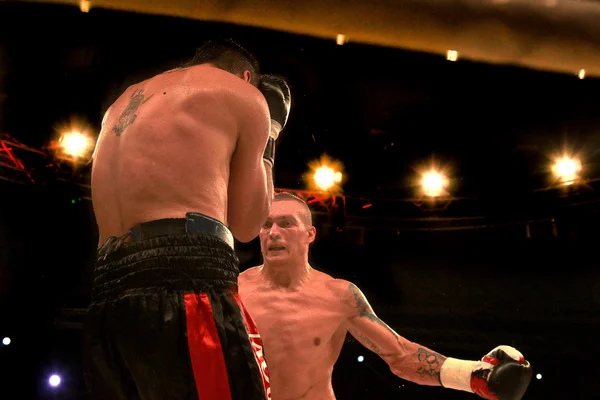ODESSA, UKRAINE - 31 mai 2014 : Champion du monde de boxe poids lourds , — Photo