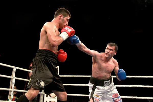 Odessa, Ucrania - 31 de mayo de 2014: En el ring de boxeo Mishiko Besel —  Fotos de Stock