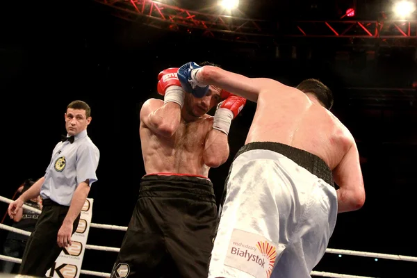 Odessa, Ukraine - May 31, 2014: In the boxing ring Mishiko Besel — Stock Photo, Image