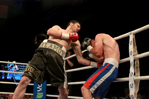 Odessa, Ukraine - May 31, 2014: In the boxing ring Umar Salamjv — Stock Photo, Image