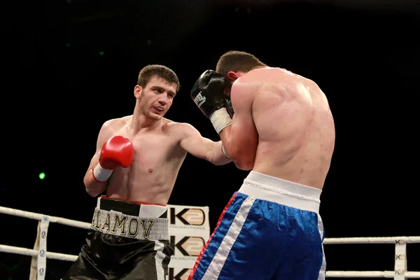 Odessa, Ukraine - May 31, 2014: In the boxing ring Umar Salamjv — Stock Photo, Image