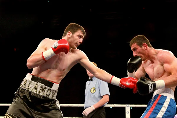 Odessa, Ukraine - May 31, 2014: In the boxing ring Umar Salamjv — Stock Photo, Image