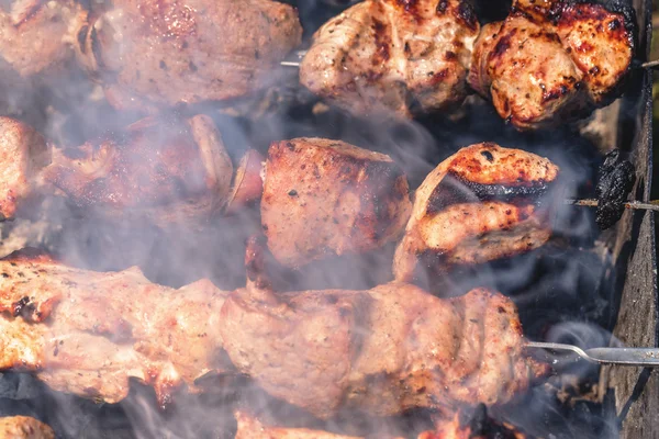 Kebabs prontos brilhantes e frescos em espetos sobre as brasas preparadas em — Fotografia de Stock