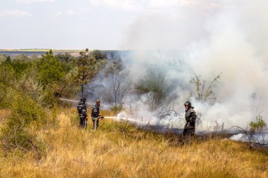 Odessa, Ukrayna - Ağustos 4, 2012: şiddetli kuraklık. yangınlar yok 