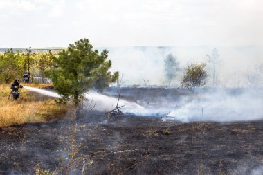 Odessa, Ukrayna - Ağustos 4, 2012: şiddetli kuraklık. yangınlar yok 