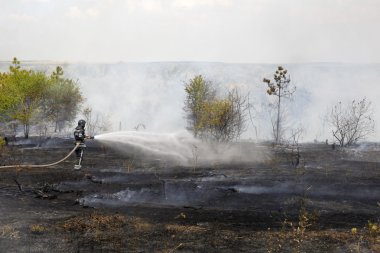 Odessa, Ukrayna - Ağustos 4, 2012: şiddetli kuraklık. yangınlar yok 