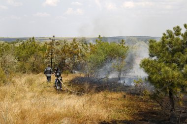 Odessa, Ukrayna - Ağustos 4, 2012: şiddetli kuraklık. yangınlar yok