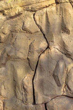 Mezozoik çağın modeli prehistorik taş taş 