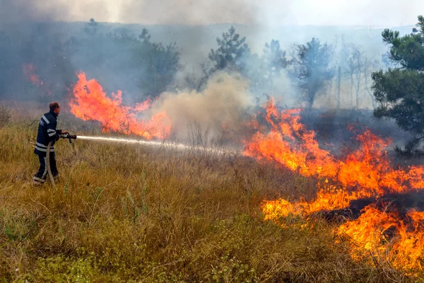 Odessa, Ucrania - 4 de agosto de 2012: Grave sequía. Los incendios destruyen —  Fotos de Stock