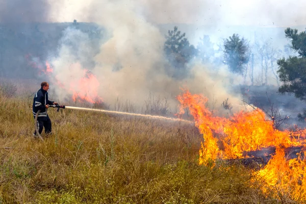Одеса Україна Серпень 2012 Сильної Засухи Пожежі Знищити Лісу Степу — стокове фото