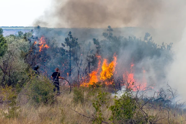 Odessa, Ucrânia - 4 de agosto de 2012: Seca severa. Os incêndios destroem — Fotografia de Stock