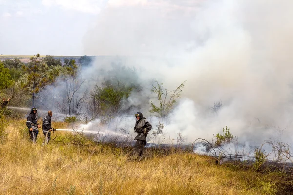 Odessa Ucrania Agosto 2012 Grave Sequía Los Incendios Destruyen Bosque —  Fotos de Stock