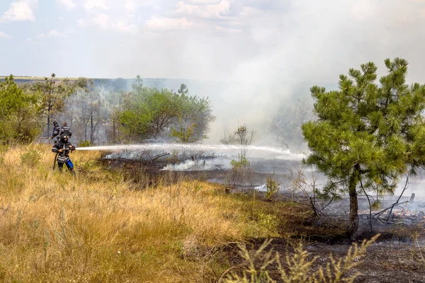 Odessa Ucrania Agosto 2012 Grave Sequía Los Incendios Destruyen Bosque —  Fotos de Stock