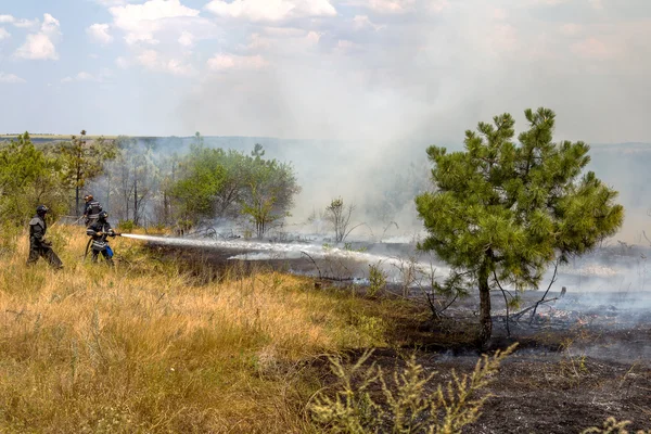 Οδησσός Ουκρανία Αυγούστου 2012 Σοβαρή Ξηρασία Πυρκαγιές Καταστρέφουν Δάσος Και — Φωτογραφία Αρχείου