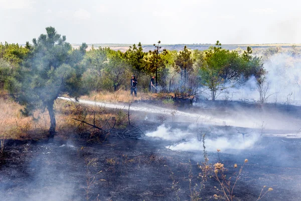 Odessa Ucrania Agosto 2012 Grave Sequía Los Incendios Destruyen Bosque —  Fotos de Stock