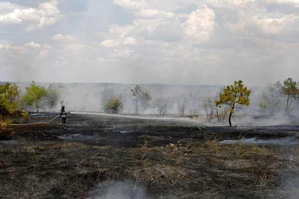 Odessa Ucrania Agosto 2012 Grave Sequía Los Incendios Destruyen Bosque — Foto de Stock