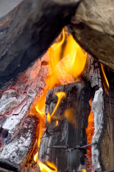 Isıtma ve pişirme için arka bahçede ateş çukuru — Stok fotoğraf