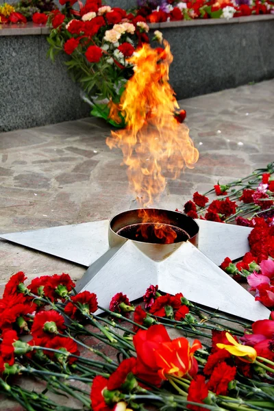 Eternal Flame Memorial Fallen Defenders Motherland — Stock Photo, Image