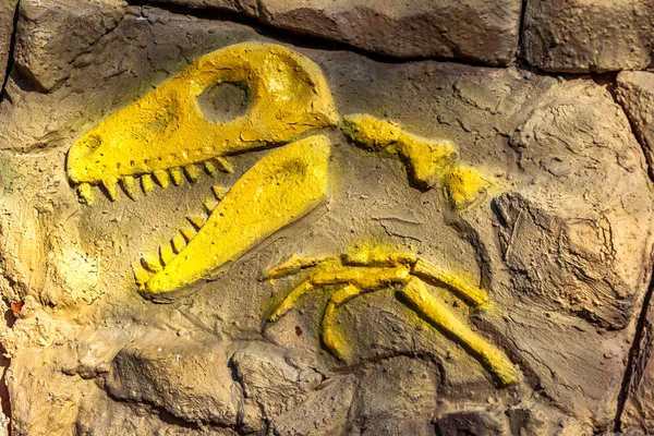 Head model of a prehistoric dinosaur fossils from the Mesozoic e — Stock Photo, Image