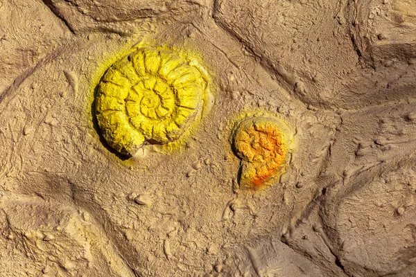 Escargot fossile préhistorique actes roches murales de pierre — Photo