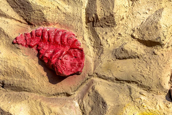 Caracol fóssil pré-histórico atua pedra parede rochas — Fotografia de Stock