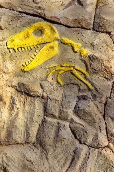 Hoved model af en forhistorisk dinosaur fossiler fra Mesozoic e - Stock-foto