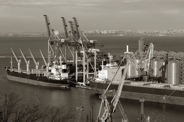 Odessa Ukraine November 2021 Одеський Комерційний Морський Порт Мирний Час — стокове фото