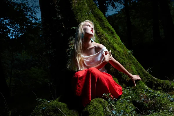 Portrait of romantic woman at fairy forest — Stock Photo, Image