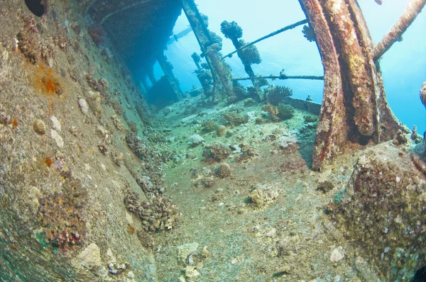 水下沉船 — 图库照片