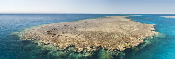 Barriera corallina tropicale — Foto Stock