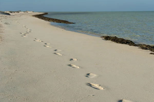 Praia tropical em uma ilha deserta com pegadas — Fotografia de Stock