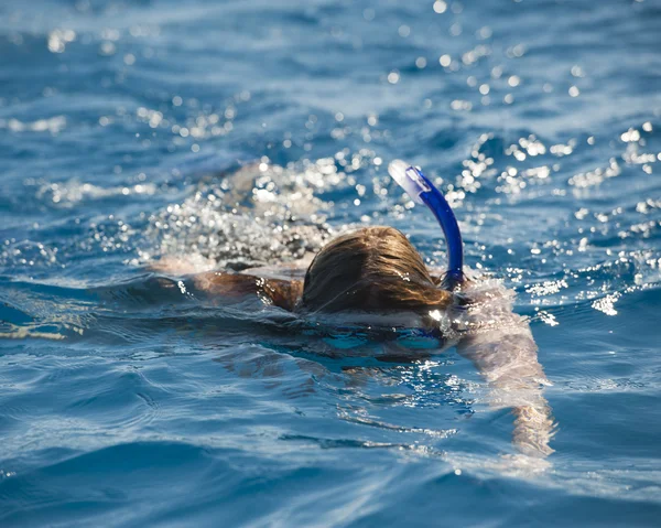Person snorkeling ina tropical lagoon — Stock Photo, Image