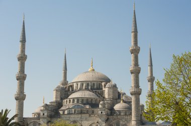 istanbul'da Sultanahmet Camii görünümü