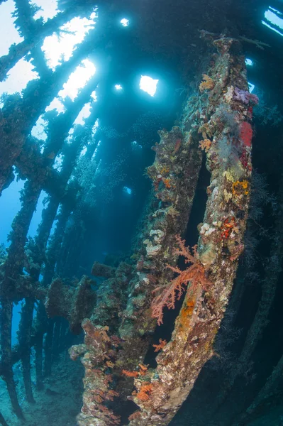 Interior de un naufragio submarino — Foto de Stock