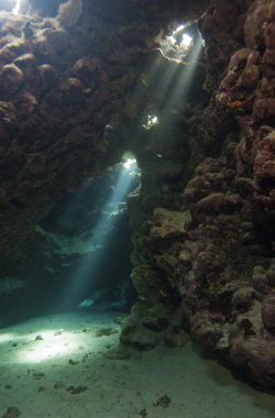Sualtı tropikal Resifi'nde mağara