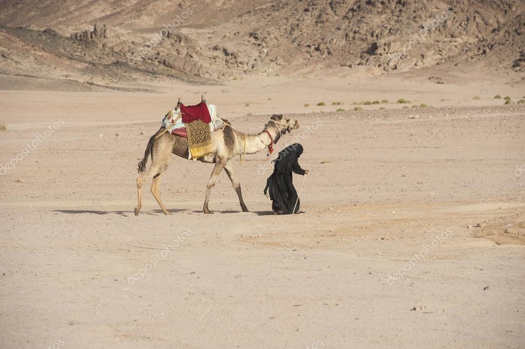 Mutabor Depositphotos_44012169-stock-photo-old-bedouin-woman-with-camel