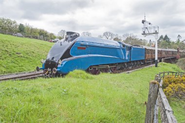 kırsal seyahat buharlı tren