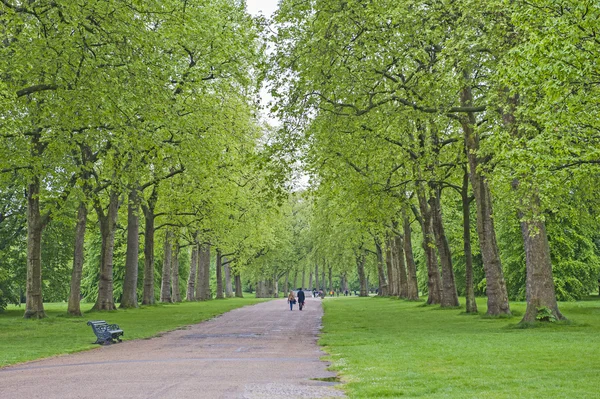 Spaziergänger in einem großen Park mit Bäumen — Stockfoto