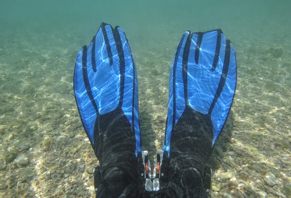 Çift yüzgeçleri sualtı lagoon içinde — Stok fotoğraf