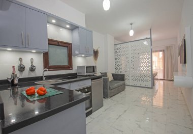 Lüks stüdyo daire galerisindeki modern mutfak ve aletleri gösteren iç tasarım dekoru.