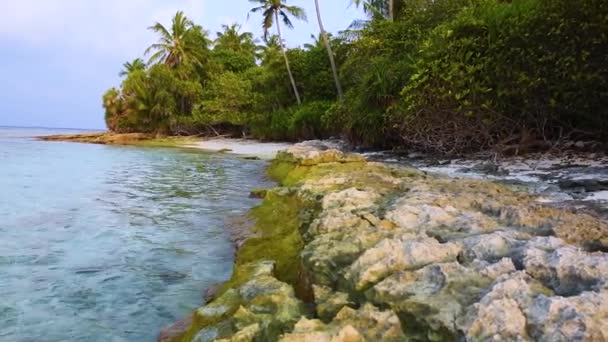 Віддалений Тропічний Острівний Рай Неглибокою Лагуною Океані Густою Рослинністю Кокосових — стокове відео