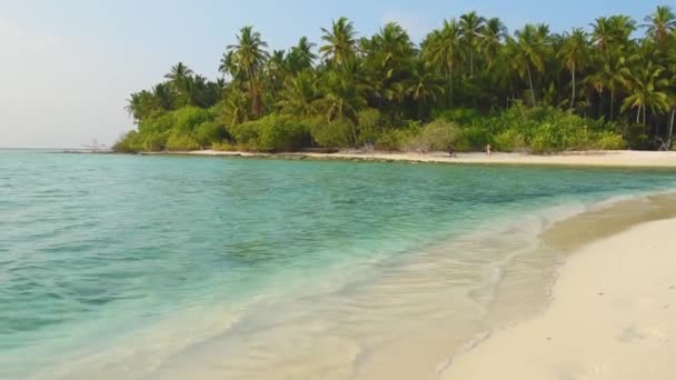 Удаленный Тропический Островной Рай Мелкой Лагуной Океане Густой Растительностью Кокосовых — стоковое видео