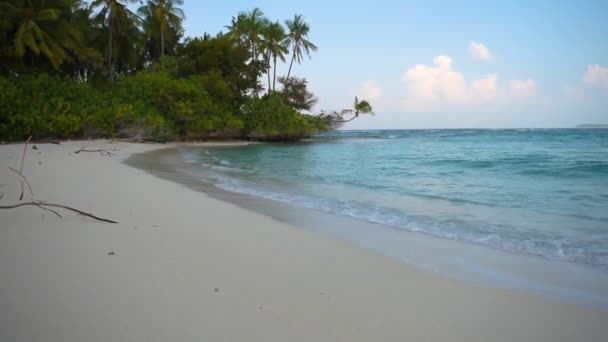 Raj Odległej Tropikalnej Wyspie Płytką Laguną Oceanie Gęstą Roślinnością Palm — Wideo stockowe