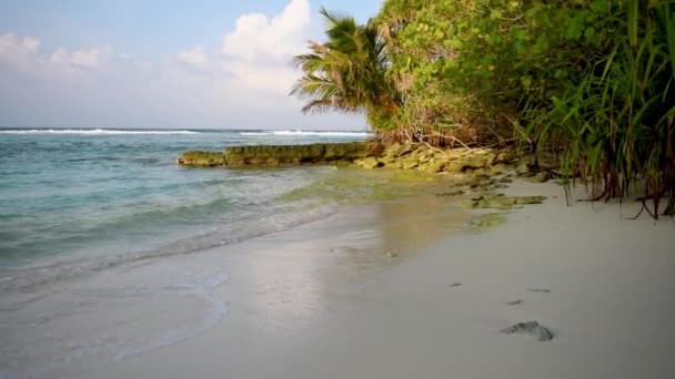 Okyanusta Sığ Bir Göl Hindistan Cevizi Palmiyelerinin Yoğun Bitki Örtüsüyle — Stok video