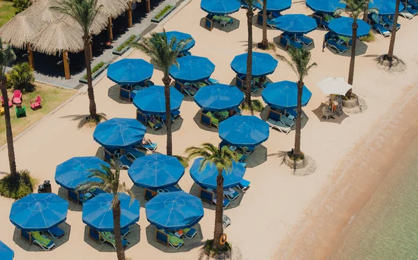 Aerial View Tropical Beach Luxury Hotel Umbrella Parasols Palm Trees — Stockfoto