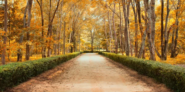 Droga w jesień krajobraz — Zdjęcie stockowe
