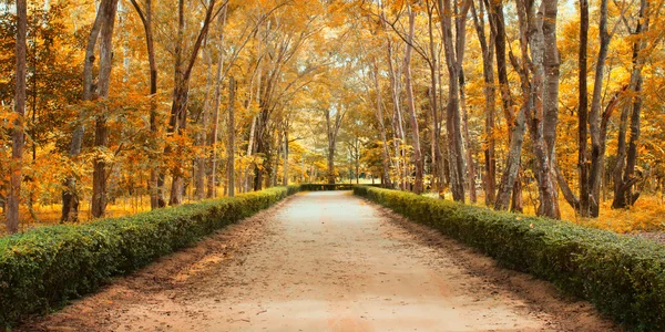 Caminho no outono Paisagem — Fotografia de Stock