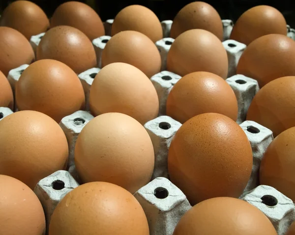 Many eggs in paper tray — Stock Photo, Image